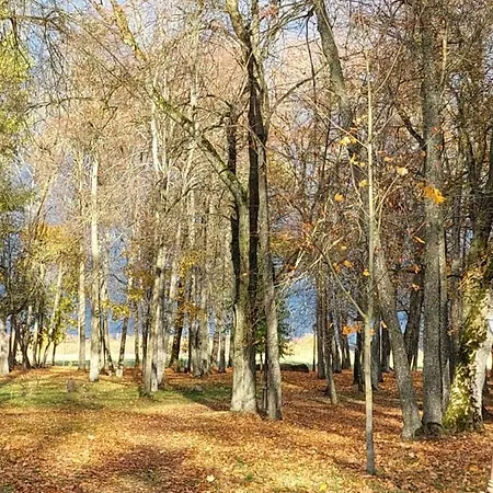 Maple Park * Kaunas