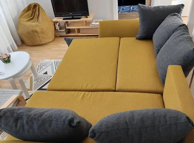 Maple Park アパート カウナス