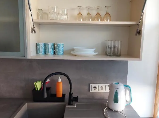 Maple Park アパート カウナス