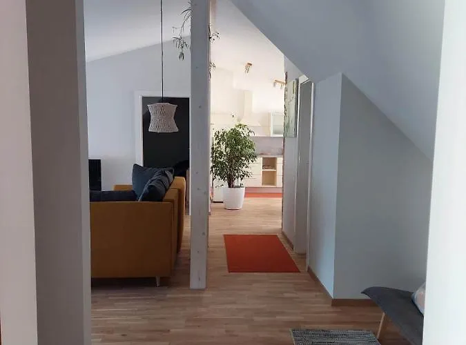 Maple Park アパート カウナス